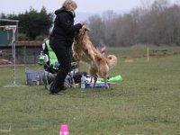 Bendix Obedience Workshop beim VdH Mauer 2016 (69)